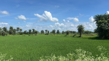 Property for sale in Baloda Bazar, Raipur