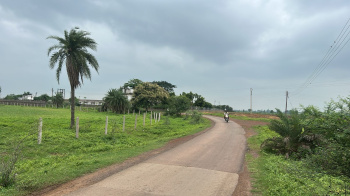 8 Acre Agricultural/Farm Land for Sale in Gogaon, Raipur