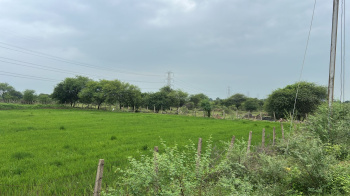 10 Acre Agricultural/Farm Land for Sale in Jaistambh Chowk, Raipur