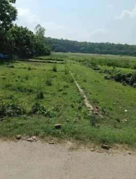 Agricultural/Farm Land for Sale in Kachna, Raipur (4.57 Acre)