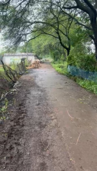 20 Acre Agricultural/Farm Land for Sale in Telibandha, Raipur