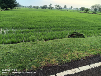 Industrial Land / Plot for Sale in Siltara, Raipur (13 Acre)