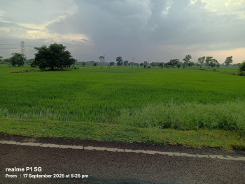 Agricultural/Farm Land for Sale in Baloda Bazar, Raipur (2 Acre)