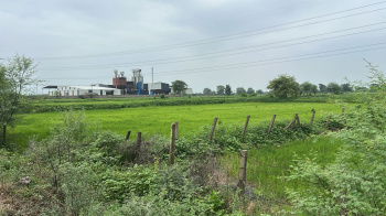 Prime commercial land for sale Near Tarpongi Tarpongi (Raipur Bilaspur Highway)