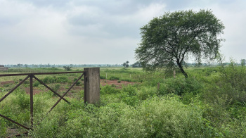 Agricultural/Farm Land for Sale in Mandir Hasaud, Raipur (12 Acre)
