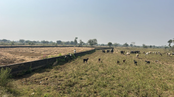 Agricultural/Farm Land for Sale in Mandir Hasaud, Raipur (10 Acre)