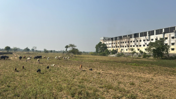Property for sale in Mandir Hasaud, Raipur