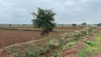 Agricultural/Farm Land for Sale in Ahiwara, Durg (4.50 Ares)