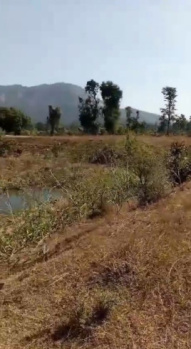 Agricultural/Farm Land for Sale in Mungeli Road, Bilaspur (100 Acre)