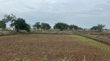 Property for sale in Urla, Raipur