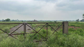50 Acre Agricultural/Farm Land for Sale in Raipur Railway Station, Raipur