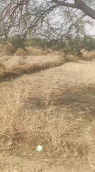 Commercial Lands /Inst. Land for Sale in Jora, Raipur (8000 Sq.ft.)