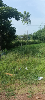 Agricultural/Farm Land for Sale in Naya Raipur, Raipur (10000 Sq.ft.)