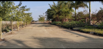 Agricultural/Farm Land for Sale in Simga, Raipur (18 Ares)