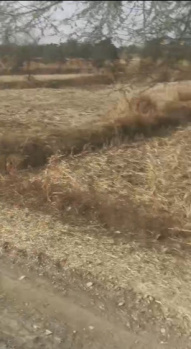 Agricultural/Farm Land for Sale in Saragaon, Raipur (1 Acre)