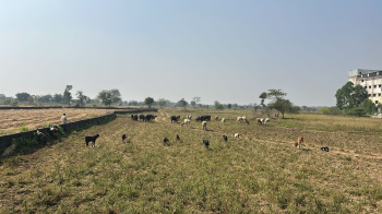 Agricultural/Farm Land for Sale in Vidhan Sabha Road, Raipur (2 Acre)