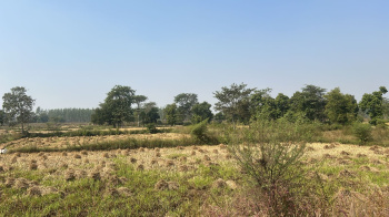 Property for sale in Vidhan Sabha Road, Raipur