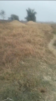 Agricultural/Farm Land for Sale in Boria Kalan, Raipur (23000 Sq.ft.)