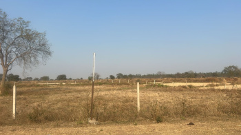 2.5 Acre Agricultural/Farm Land for Sale in Khamadi, Raipur