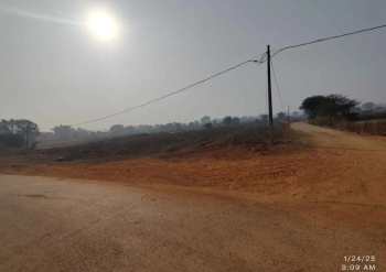 Agricultural/Farm Land for Sale in Dola, Shahdol (55 Acre)
