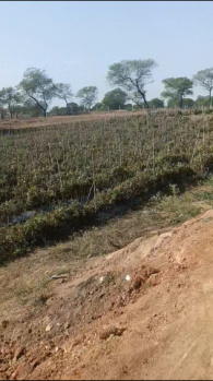60 Acre Agricultural/Farm Land for Sale in Pachpedi Naka, Raipur