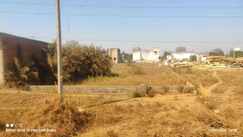 3 Acre Agricultural/Farm Land for Sale in Baikunth, Raipur
