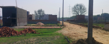 100 Sq. Yards Residential Plot for Sale in Loni, Ghaziabad