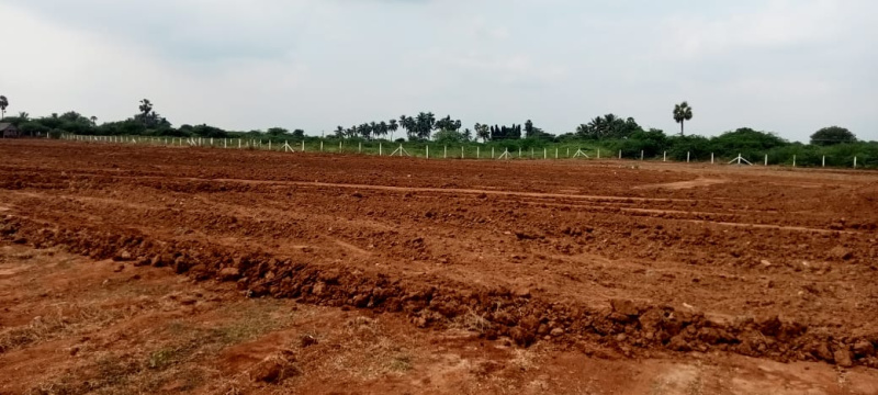 Land Suitable For Layout & Farm