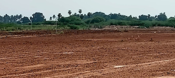 Farm House for Sale in Allithurai, Tiruchirappalli (43560 Sq.ft.)