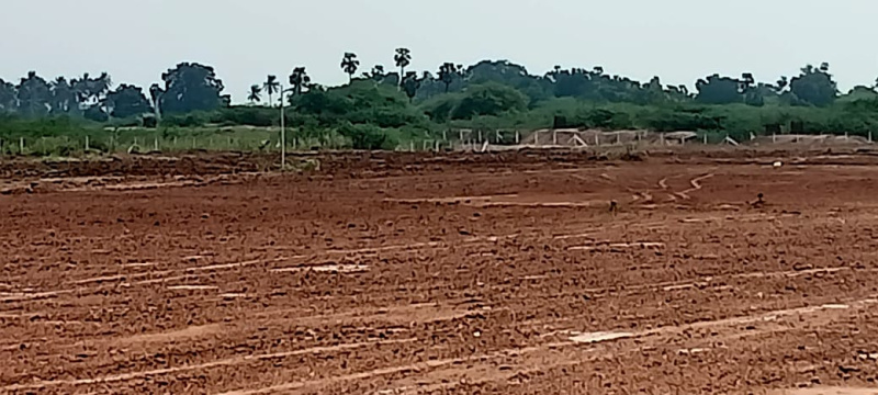 Farm House For Sale In Allithurai, Tiruchirappalli (43560 Sq.ft.)