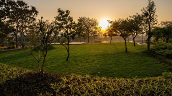 Residential Plot for Sale in Jatari, Aligarh (100 Sq. Yards)