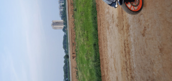 100 Sq. Yards Residential Plot for Sale in Palwal, Faridabad
