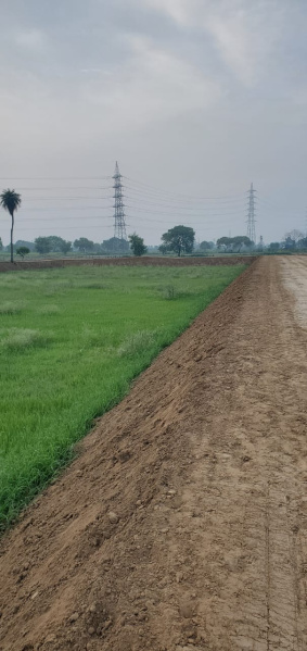 165 Sq. Yards Residential Plot for Sale in Palwal, Faridabad