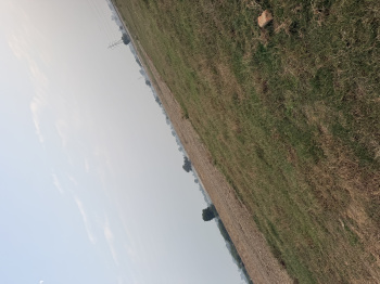 Residential Plot for Sale in Sector 14, Palwal (121 Sq.ft.)