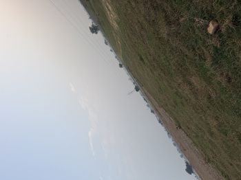 Property for sale in Sector 14 Palwal