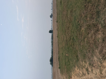 Property for sale in Sector 14 Palwal