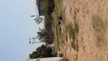 Factory / Industrial Building for Sale in Halol, Vadodara (60000 Sq.ft.)
