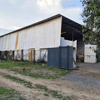Gate number 1 top location,25 fit height,total badhkam Area's,main Road Tucth