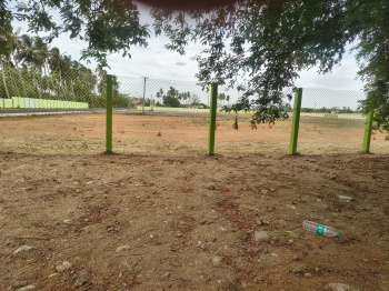 Commercial Lands /Inst. Land for Sale in Panjapur, Tiruchirappalli (4230 Sq.ft.)