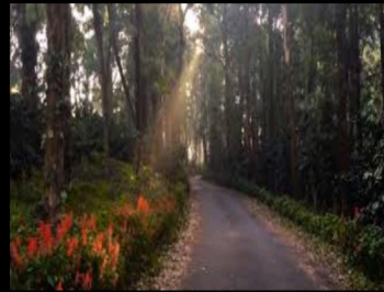 Property for sale in Kollengode, Palakkad