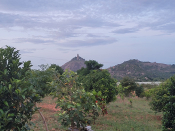 Property for sale in Kelamangalam Road, Hosur