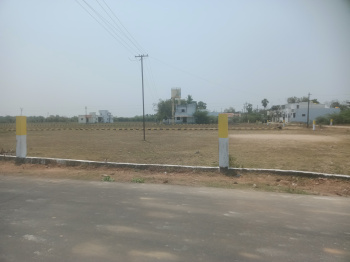 1250 Sq.ft. Residential Plot for Sale in Sevvapet, Thiruvallur
