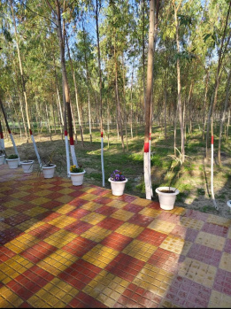 Commercial Lands /Inst. Land For Sale In Khatu, Sikar (40 Sq. Yards)