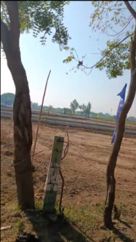 Residential Plot for Sale in Tappal, Aligarh (200 Sq. Yards)