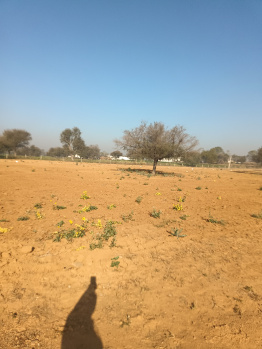Residential Plot for Sale in Pataudi, Gurgaon (50 Sq. Yards)