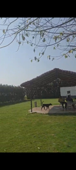 3024 Sq. Yards Residential Plot for Sale in Haibatpur, Greater Noida