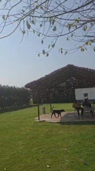 Property for sale in Dankaur, Gautam Buddha Nagar