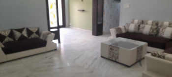 3 BHK Flats & Apartments for Rent in PP Compound, Ranchi (1650 Sq.ft.)