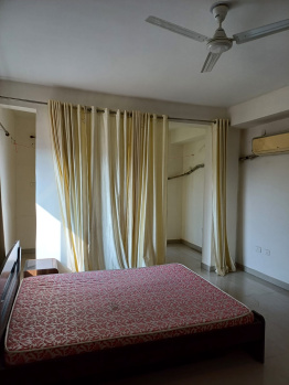 6 BHK Flats & Apartments for Rent in Lalpur, Ranchi (5200 Sq.ft.)