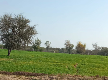 Property for sale in Rani, Pali